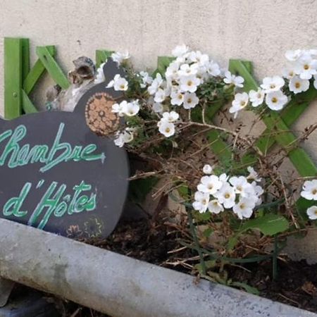 La Maison Des Fleurs Scrignac Exteriér fotografie